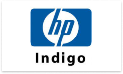Rectanשgle 21